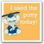 potty.training.stickers.DDC