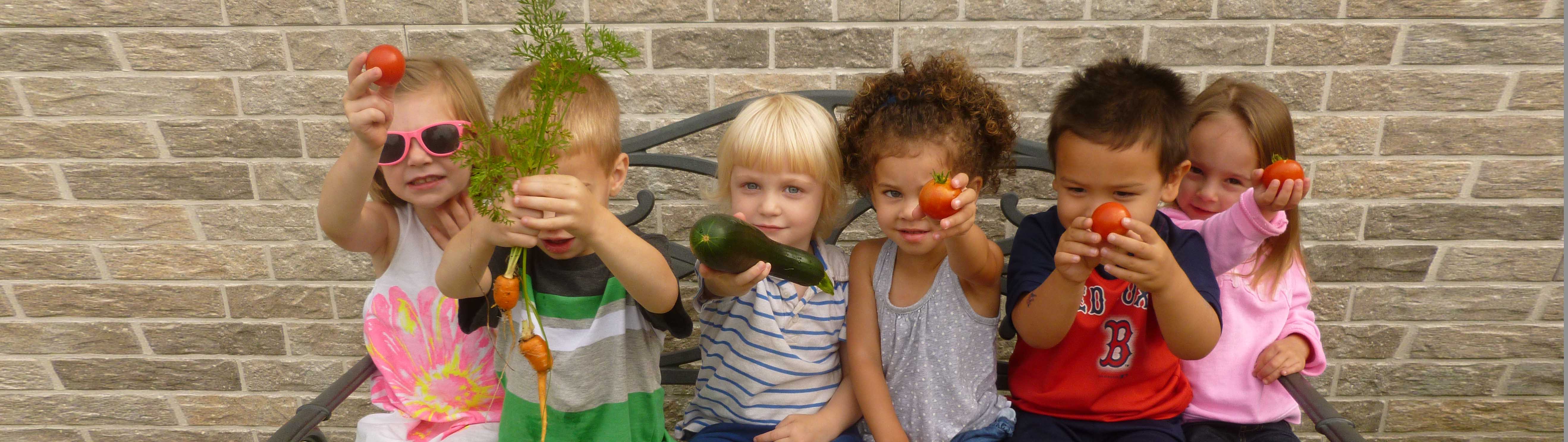 My child won’t eat vegetables!