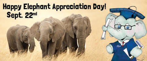 Happy Elephant Appreciation Day!