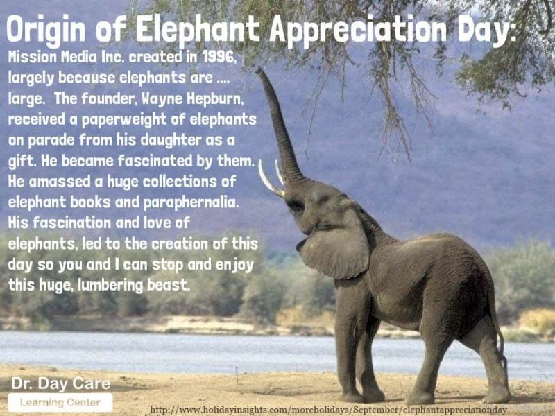 elephant-appreciation-info