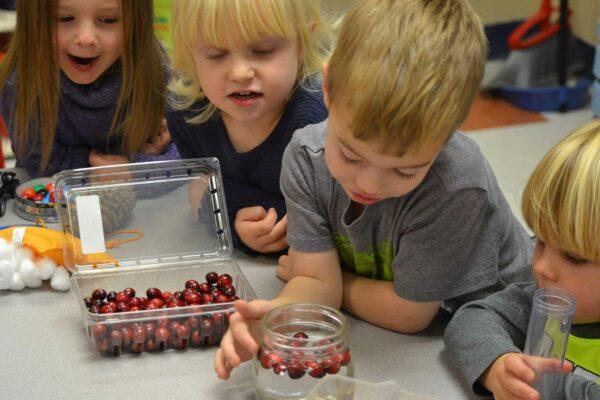 Learning about Cranberries!