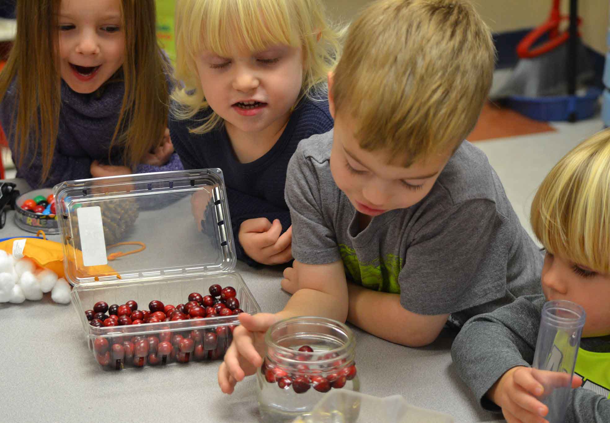 Learning about Cranberries!