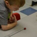 Learning about Cranberries!