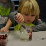 Learning about Cranberries!