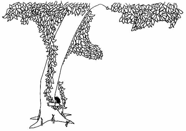 10 Things Shel Silverstein’s The Giving Tree Taught Us (Besides Giving, That Is)