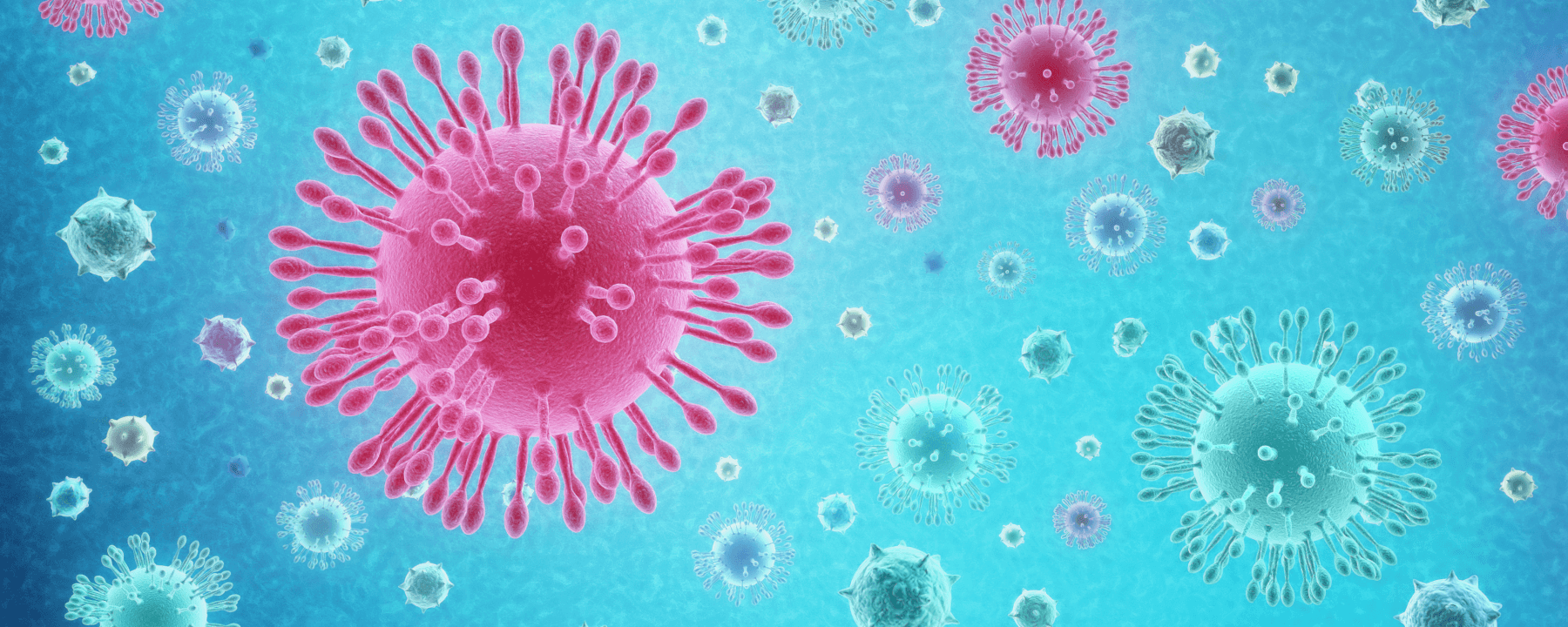 Coronavirus update