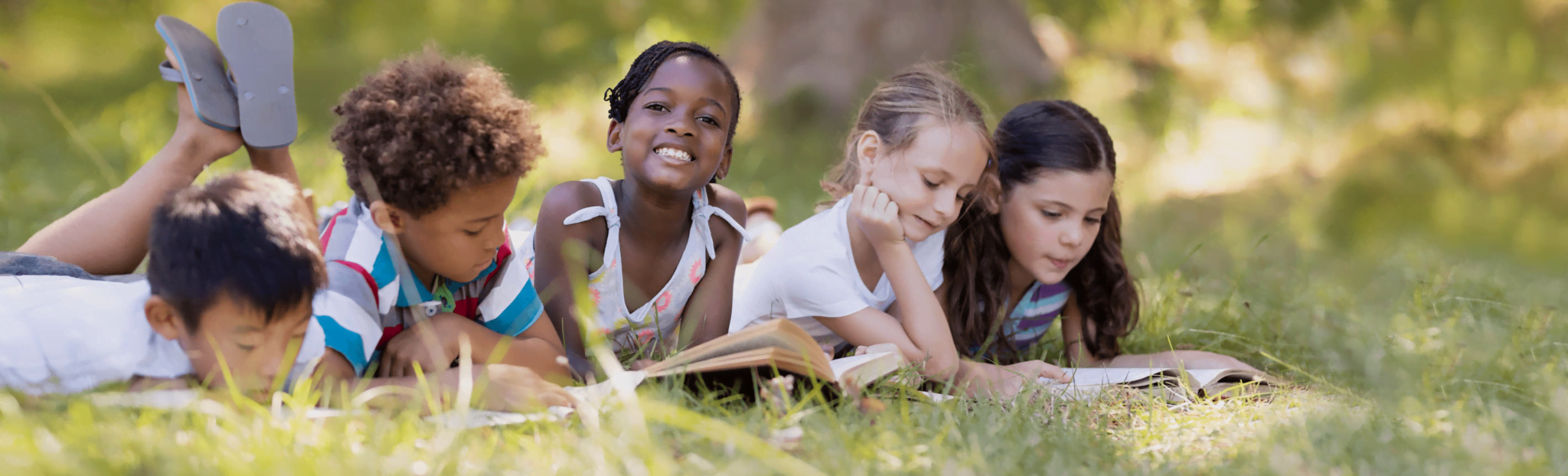 Dr. Day Care Foster Summer Camp