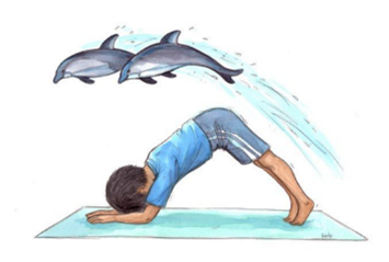 dolphin dolphin