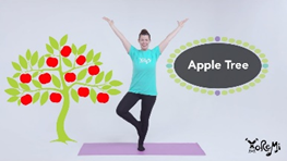 apple tree apple tree