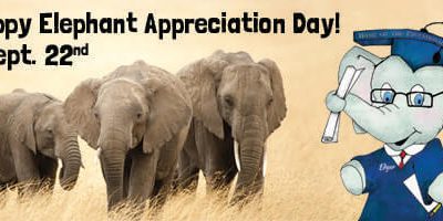 elephant-appreciation-header